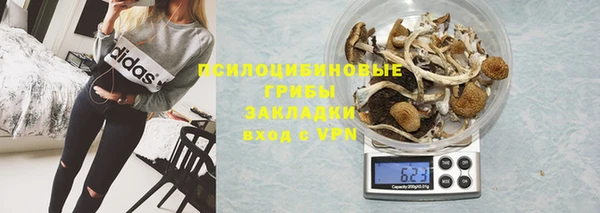 прущие крисы Арсеньев