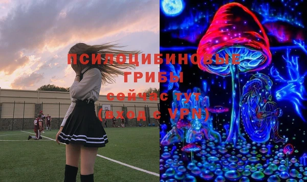 прущие крисы Арсеньев