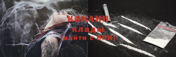 крисы Аркадак