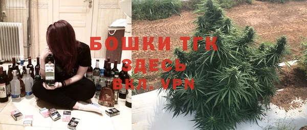 крисы Аркадак