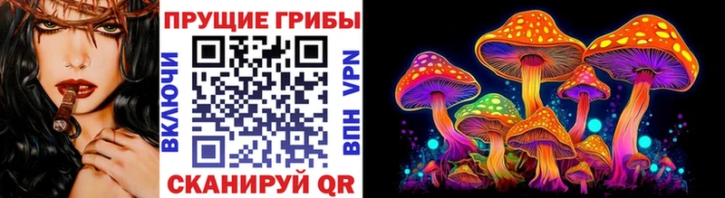 купить  цена  Кадников  Псилоцибиновые грибы Psilocybe 